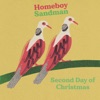 Cover art for Second Day of Christmas - Single by Homeboy Sandman