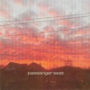 Cover art for Passenger Seat - Single by Homeshake