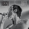 Cover art for 1977 (Live in Paris, London & Berlin) by Iggy Pop