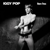 Cover art for Rare Trax (2023 Remaster) by Iggy Pop