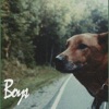 Cover art for Boys - Single by Indigo De Souza