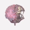 Cover art for No Left Brain - Single by James Marriott