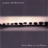 Cover art for Saint Mary of the Woods by James McMurtry