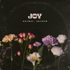 Cover art for Joy (Anyway, Anyhow) - EP by Jamie Grace