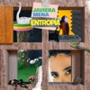 Cover art for Entropía - Single by Javiera Mena
