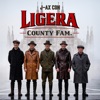 'E, la vita la vita (con la Ligera County Fam) [feat. Ale e Franz] - Single' by J-Ax & Fedez