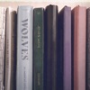 'Wolves - Single' by Jensen McRae