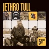 Cover art for 5 Album Set: Aqualung / A Passion Play / Minstrel In the Gallery / Too Old to Rock 'N' Roll / Songs from the Wood (Remastered) by Jethro Tull
