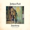 Cover art for Aqualung (40th Anniversary Special Edition) [2011 Steven Wilson Mix] by Jethro Tull