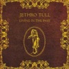Cover art for Living In the Past by Jethro Tull