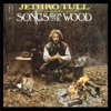 Cover art for Songs from the Wood (2003 Bonus Track Edition) by Jethro Tull