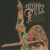 Cover art for The Best of Jethro Tull (The Anniversary Collection) by Jethro Tull