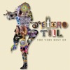 'The Very Best of Jethro Tull' by Jethro Tull