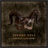 Cover art for Curious Ruminant by Jethro Tull