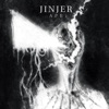 Cover art for Ape - Single by Jinjer