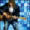 Cover art for Sloe Gin by Joe Bonamassa