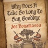 Cover art for Why Does It Take So Long To Say Goodbye - Single by Joe Bonamassa