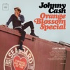 Cover art for Orange Blossom Special by Johnny Cash