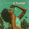 Cover art for So Beautiful - Single by Jon Stevens