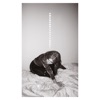 Cover art for Materia by Julia Holter