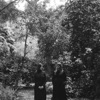 'Perpetual Adoration - Single' by Julianna Barwick