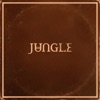 'Sunshine' by Jungle