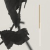 Cover art for Grafts - EP by Kara-Lis Coverdale