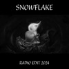 Cover art for Snowflake (Radio Edit 2024) - Single by Kate Bush