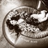 Cover art for The Siren - Single by Kate Voegele