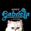 Cover art for Gabriela (Young Miko Remix) - Single by Katseye