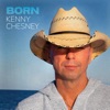 Cover art for Just To Say We Did - Single by Kenny Chesney