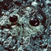 Cover art for Alien Metal by King Gizzard & the Lizard Wizard