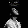 'Perfect Ruin (Remixes) - Single' by Kwabs