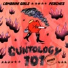 Cover art for Cuntology 101 (Peaches Remix) - Single by Lambrini Girls