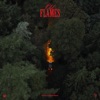 Cover art for Old Flames by La Roux