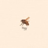 Cover art for Honey - Single by Laura Stevenson