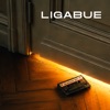 Cover art for Qualcosa per te - Single by Ligabue