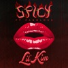 Cover art for Spicy (feat. Fabolous) - Single by Lil' Kim