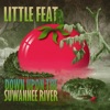 Cover art for Down Upon the Suwannee River (Live) by Little Feat