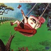 Cover art for Sailin' Shoes by Little Feat