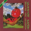 Cover art for Waiting for Columbus (Live) by Little Feat