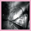 Cover art for Clara by Loscil