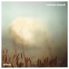 Cover art for Adieux - Single by Ludovico Einaudi