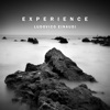 Cover art for Einaudi: Experience by Ludovico Einaudi