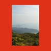 Cover art for The View From Tian Tan by Mac DeMarco