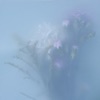 'Eyes Don't Say It - Single' by Maria Somerville