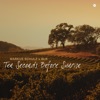 'Ten Seconds Before Sunrise - Single' by Markus Schulz