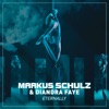 Cover art for Eternally (feat. Diandra Faye) - Single by Markus Schulz