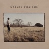 Cover art for Marlon Williams by Marlon Williams