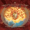 Cover art for Capillarian Crest / Crystal Skull - Single by Mastodon